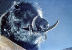 Image de Bibi le Marcassin