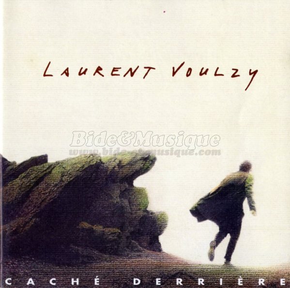 Laurent Voulzy - Mélodisque