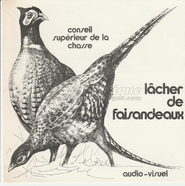 Conseil supérieur de la chasse - Lâcher de faisandeaux (Face A)