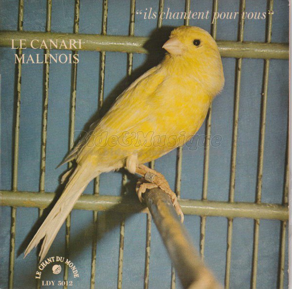 Georges Albouze - Le rossignol philomèle