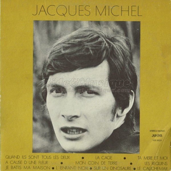 Jacques Michel - Vive le Québec Bide !