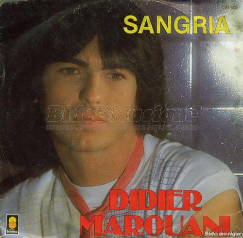 Didier Marouani - Olé, c'est l'español !