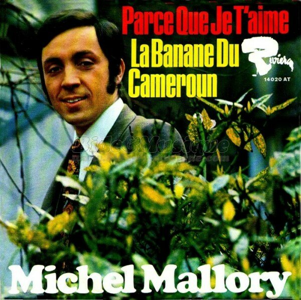 Michel Mallory - AfricaBide