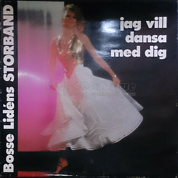 Bosse Lidéns Storband - Beatlesploitation