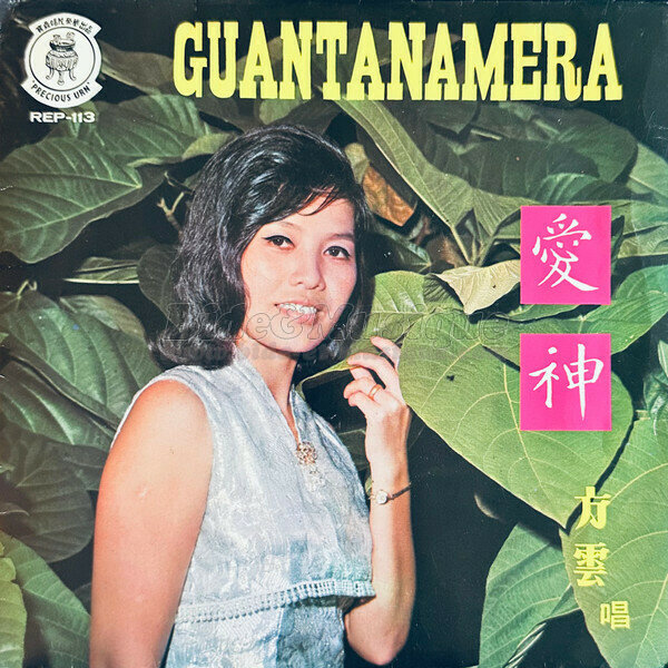 Grace Hong - Bidasiatique