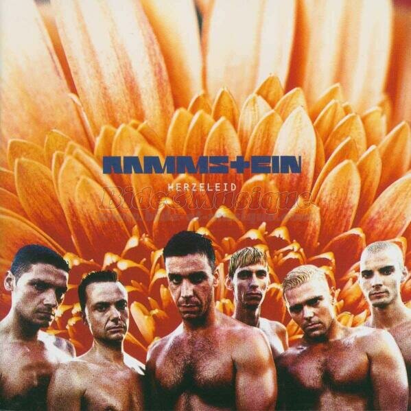 Rammstein - coin des guit'hard, Le