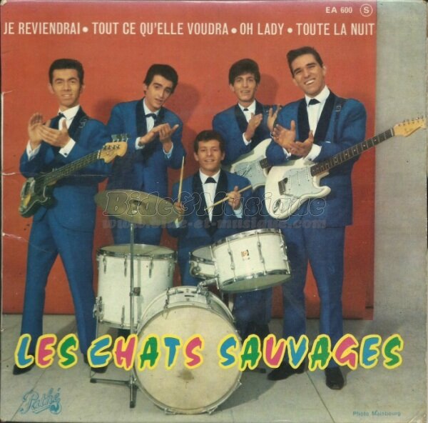 Chats Sauvages, Les - Rock'n Bide