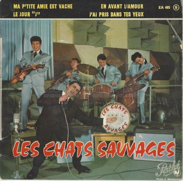 Chats Sauvages, Les - Chez les yé-yé
