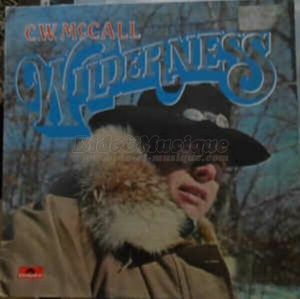 C.W. McCall - Bide in America