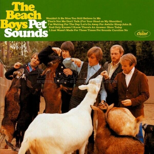 Beach Boys, The - bonheur, c'est simple comme un coup de bide, Le