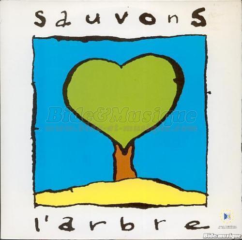 Évolution - Ecolobide