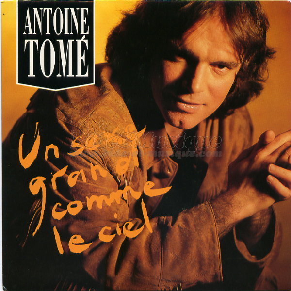Antoine Tomé - Un sexe grand comme le ciel
