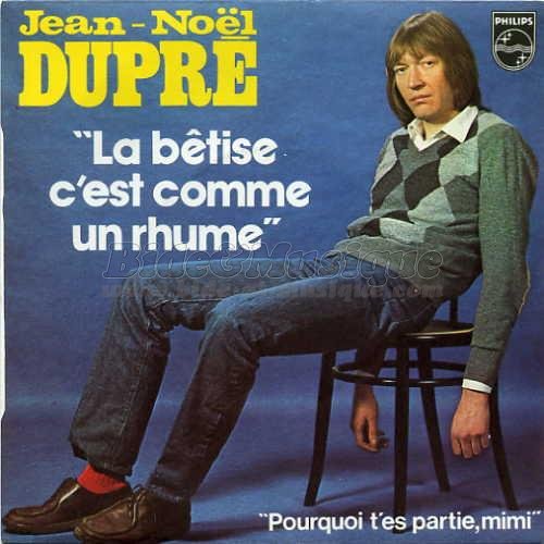Jean-Noël Dupré - bêtise c'est comme un rhume, La