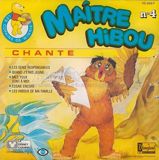 Maître Hibou - DisneyBide