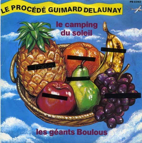 Le Procédé Guimard Delaunay - Le camping du soleil