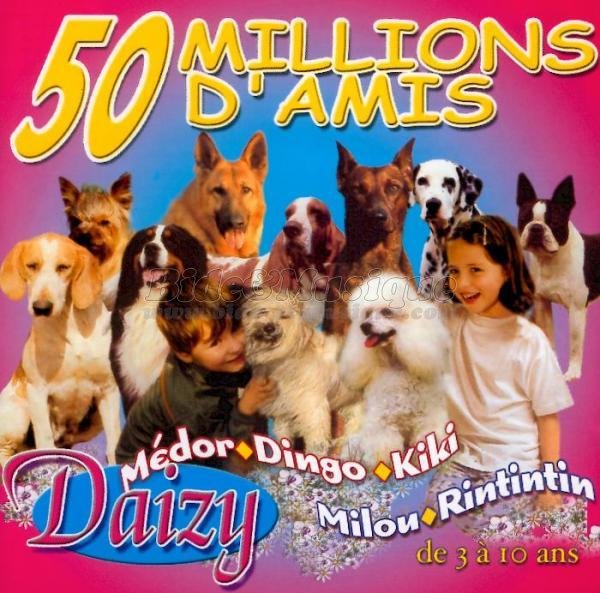Daizy - Nos copains câlins