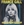 Vignette de France Gall - La déclaration d'amour