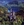 Vignette de Blur - Country House