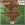 Vignette de Ram Jam - Black Betty