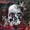 Vignette de Slayer - South of Heaven