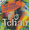 Vignette de É o Tchan - bides de l'été, Les