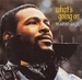 Pochette de Marvin Gaye - Mercy Mercy me (The Ecology)